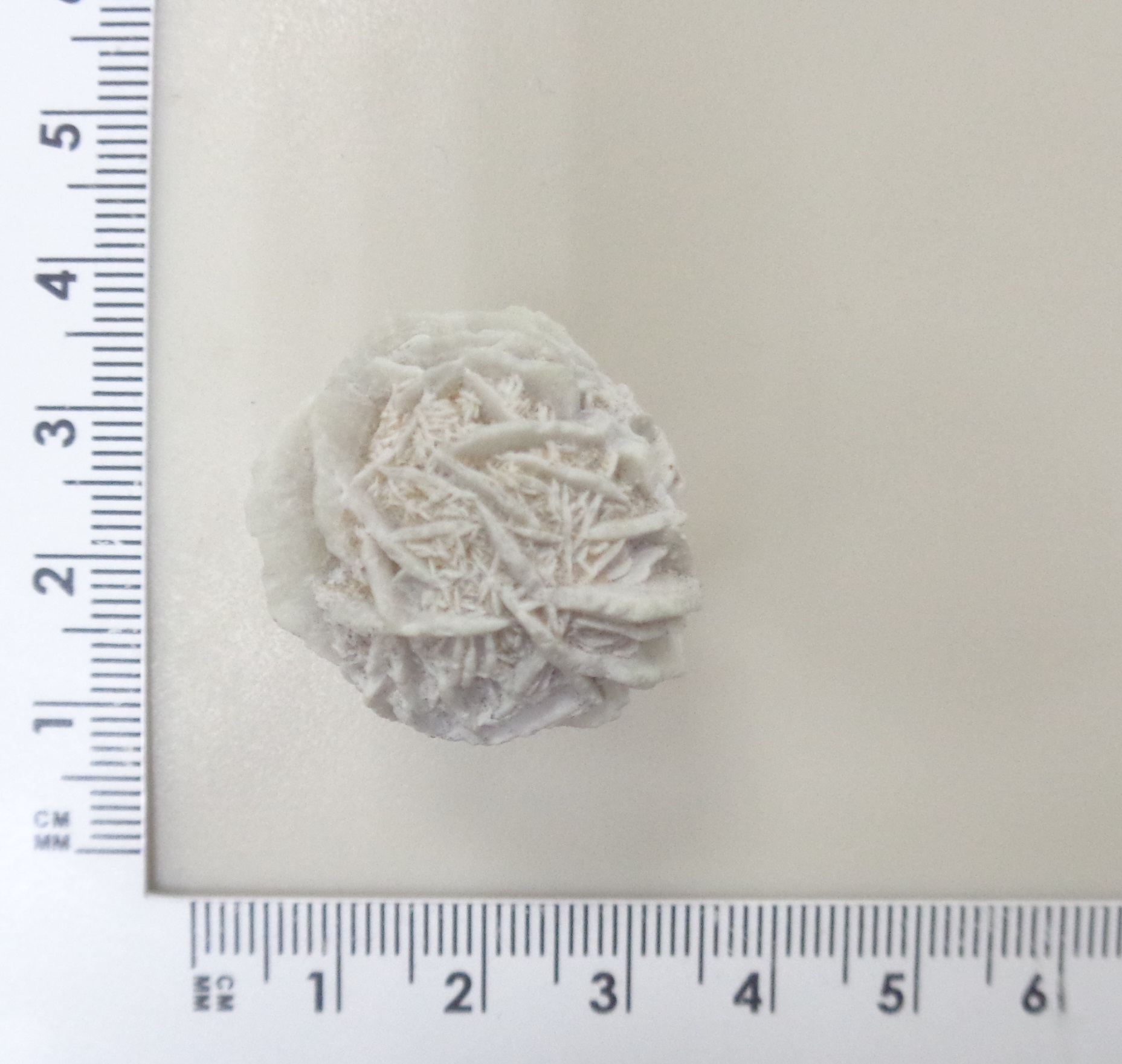 10322-004824 Кольцо (Ag 925)